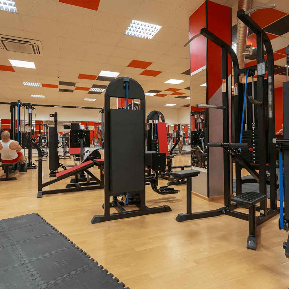 Fitness & Gym